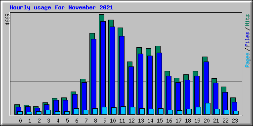 Hourly usage for November 2021