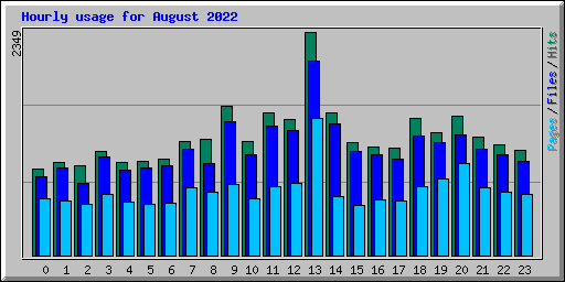 Hourly usage for August 2022